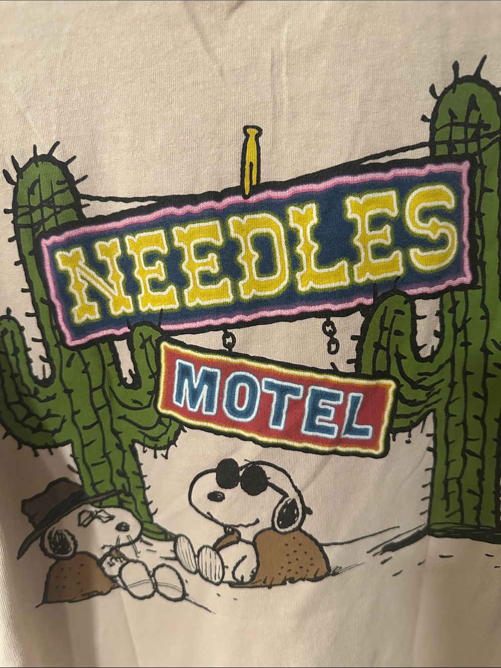 Peanuts Snoopy Spike Woodstock Desert Hot Air Balloon T-Shirt Needles CA Size M - Picture 3 of 4